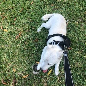 Meet your Posher, Tracy